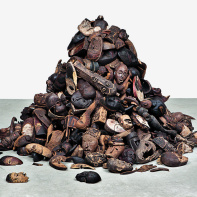 Ex Africa, l'exposition au Musée du Quai Branly