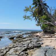 Covid : la vaccination obligatoire pour les adultes et touristes en Nouvelle-Calédonie