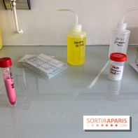 Escape Gènes, l'escape game qui sensibilise à la recherche génétique à l'Institut Imagine