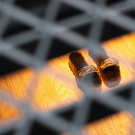 The Mutes, l'exposition de Lina Lapelytè à Lafayette Anticipations