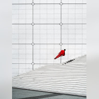 The Levitation Project : Forgetmat dévoile ses œuvres en lévitation à l'Espace Commines