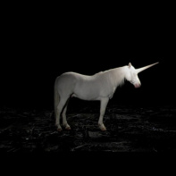 Nuit Blanche 2023 : installation hypnotique "Licorne" de Maïder Fortuné au tunnel Henri VI