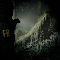 PlayStation Showcase : Alan Wake 2 vous fait trembler de terreur dans une bande-annonce