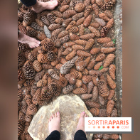 Le Parcours Biodiversité du Parc Zoologique de Paris