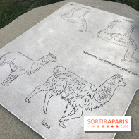 Le Parcours Biodiversité du Parc Zoologique de Paris