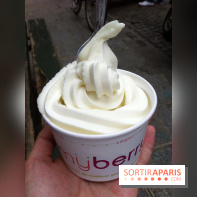 My Berry, Glace au yaourt
