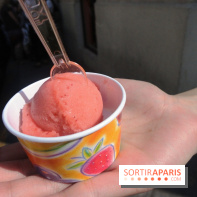 Berthillon, Sorbet Framboise
