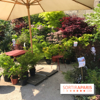 Jardins Jardin 2017 aux Tuileries, les photos