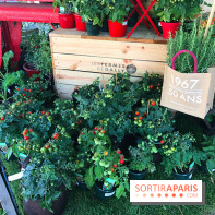 Jardins Jardin 2017 aux Tuileries, les photos