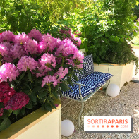 Jardins Jardin 2017 aux Tuileries, les photos