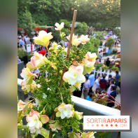 Jardins Jardin 2017 aux Tuileries, les photos