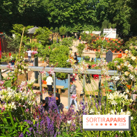 Jardins Jardin 2017 aux Tuileries, les photos vue