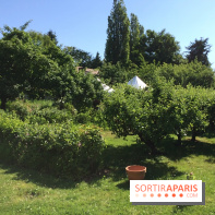 Le musée Mallarmé à Vulaines-sur-Seine (77)