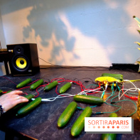 Journée Mondiale du Concombre à la Cartonnerie