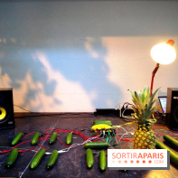 Journée Mondiale du Concombre à la Cartonnerie