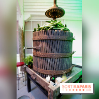 Journée Mondiale du Concombre à la Cartonnerie