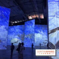Imagine Van Gogh à la Grande Halle de la Villette