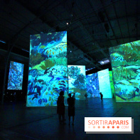 Imagine Van Gogh à la Grande Halle de la Villette