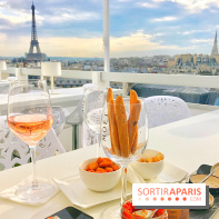 Le rooftop de l'Hôtel Marignan