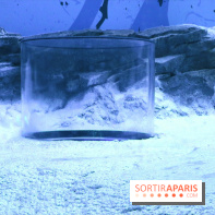 Les Manchots de l'Aquarium Sea Life