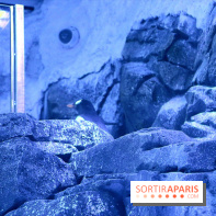 Les Manchots de l'Aquarium Sea Life