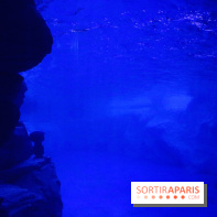 Les Manchots de l'Aquarium Sea Life