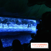 Les Manchots de l'Aquarium Sea Life