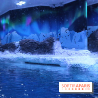 Les Manchots de l'Aquarium Sea Life