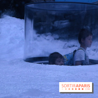 Les Manchots de l'Aquarium Sea Life