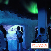 Les Manchots de l'Aquarium Sea Life