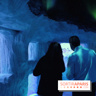 Les Manchots de l'Aquarium Sea Life