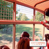 Camion Safari : une visite guidée dans les coulisses de Thoiry