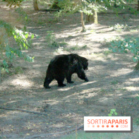 Camion Safari : une visite guidée dans les coulisses de Thoiry