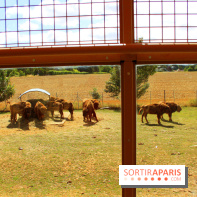 Camion Safari : une visite guidée dans les coulisses de Thoiry