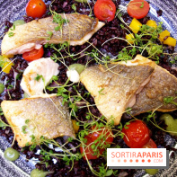 Les Fous de l'île : dorade royale