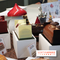 Les Bûches et créations de Noël 2017 de Christophe Michalak