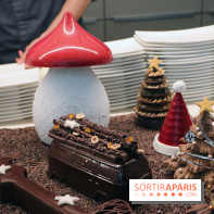 Les Bûches et créations de Noël 2017 de Christophe Michalak