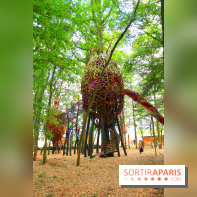 La Forêt des Légendes au Villages Nature