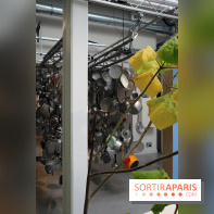 Agoramania, l'exposition gratuite du Maif Social Club