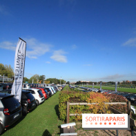 Ventes de voitures d'occasion à 'lhippodrome de St Cloud