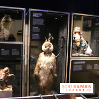 Effets Spéciaux , Crevez l'écran !