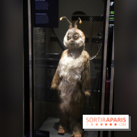 Effets Spéciaux , Crevez l'écran !