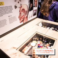 Effets Spéciaux , Crevez l'écran !