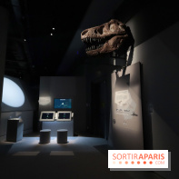 Exposition Météorites au Muséum national d'Histoire naturelle, les photos