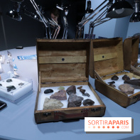 Exposition Météorites au Muséum national d'Histoire naturelle, les photos