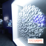 Exposition Météorites au Muséum national d'Histoire naturelle, les photos