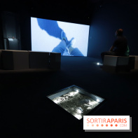 Exposition Météorites au Muséum national d'Histoire naturelle, les photos