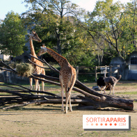 Mission Protéger au Parc Zoologique