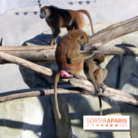 Mission Protéger au Parc Zoologique