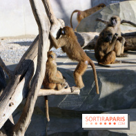 Mission Protéger au Parc Zoologique